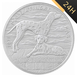 SREBRNA MONETA DALMATYŃCZYK CHORWACJA 1 oz 24H VM