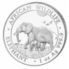 SREBRNA MONETA AFRICAN WILDLIFE SŁOŃ SOMALIJSKI LOSOWY ROCZNIK 1 oz 24H VM