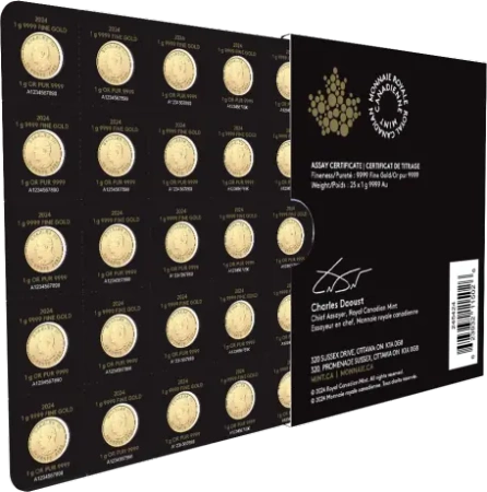 KANADYJSKI LIŚĆ KLONOWY MAPLE GRAM 25 g 24H